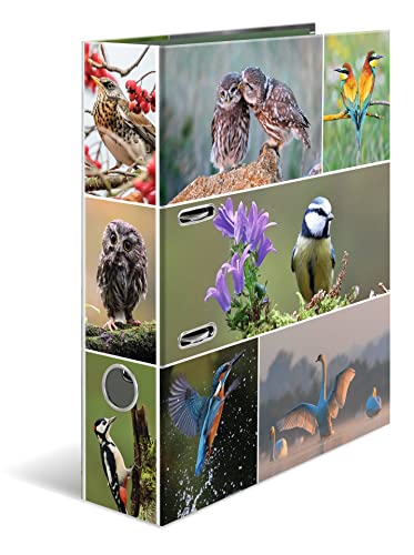 HERMA Ordner A4 Vögel, 7 cm breit, Kinder Ringordner mit Tier Motiv, bunter Aktenordner mit Innendruck für Jungen und Mädchen HERMA Ordner A4 Vögel, 7 cm breit, Kinder Ringordner mit Tier Motiv, bunter Aktenordner mit Innendruck für Jungen und Mädchen von HERMA