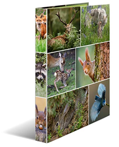 HERMA Ringbücher A4 Waldtiere Set, 3 Stück, schmal, 4 Ringe, 35 mm breit, Kinder Ringordner mit Tier Motiv, bunter Ordner mit Innendruck für Jungen und Mädchen HERMA Ringbücher A4 Waldtiere Set, 3 Stück, schmal, 4 Ringe, 35 mm breit, Kinder Ringordner mit Tier Motiv, bunter Ordner mit Innendruck für Jungen und Mädchen von HERMA