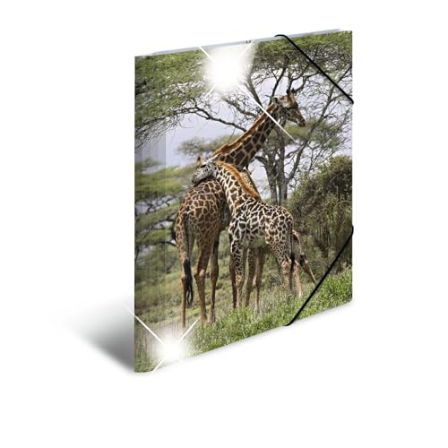 HERMA 19322 Sammelmappen A4 Tiere Giraffe, 3 Stück, Kinder Eckspanner-Mappen aus Kunststoff mit Hochglanz-Optik, Innendruck & Gummizug, stabiles Einschlagmappen Set aus Plastik für Jungen & Mädchen von HERMA