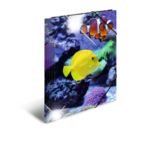 HERMA Sammelmappen A4 Fische Set, 3 Stück, Kinder Eckspanner-Mappen aus Kunststoff mit Tier Motiv, Hochglanz-Optik, Gummizug, Innenklappen und Innendruck für Jungen und Mädchen HERMA Sammelmappen A4 Fische Set, 3 Stück, Kinder Eckspanner-Mappen aus Kunststoff mit Tier Motiv, Hochglanz-Optik, Gummizug, Innenklappen und Innendruck für Jungen und Mädchen von HERMA