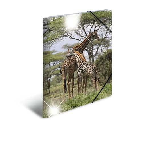 HERMA 19332 Sammelmappen A3 Tiere Giraffe, 3 Stück, Kinder Eckspanner-Mappen aus Kunststoff mit Hochglanz-Optik, Innendruck & Gummizug, stabiles Einschlagmappen Set aus Plastik für Jungen & Mädchen von HERMA