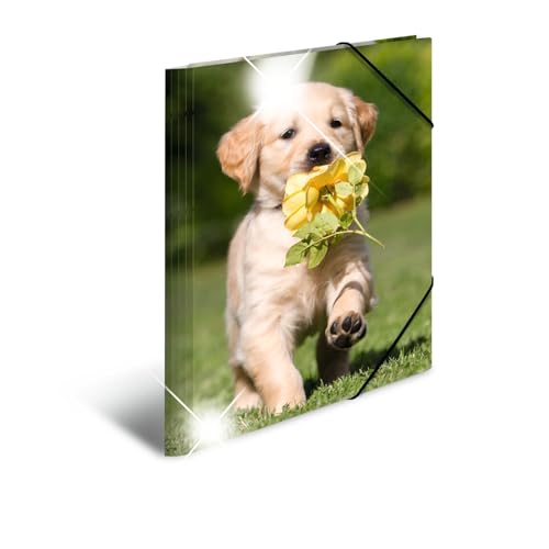 HERMA Sammelmappe A3 Hunde, Kinder Eckspanner-Mappe aus Kunststoff mit Tier Motiv, Hochglanz-Optik, Gummizug, Innenklappen und Innendruck für Jungen und Mädchen HERMA Sammelmappe A3 Hunde, Kinder Eckspanner-Mappe aus Kunststoff mit Tier Motiv, Hochglanz-Optik, Gummizug, Innenklappen und Innendruck für Jungen und Mädchen von HERMA