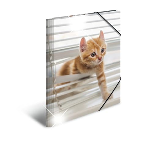 HERMA Sammelmappe A3 Katzen, Kinder Eckspanner-Mappe aus Kunststoff mit Tier Motiv, Hochglanz-Optik, Gummizug, Innenklappen und Innendruck für Jungen und Mädchen HERMA Sammelmappe A3 Katzen, Kinder Eckspanner-Mappe aus Kunststoff mit Tier Motiv, Hochglanz-Optik, Gummizug, Innenklappen und Innendruck für Jungen und Mädchen von HERMA