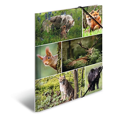 HERMA Sammelmappen A4 Waldtiere Set, 3 Stück, Kinder Eckspanner-Mappen aus Pappe mit Tier Motiv, Gummizug, Innenklappen und Innendruck für Jungen und Mädchen HERMA Sammelmappen A4 Waldtiere Set, 3 Stück, Kinder Eckspanner-Mappen aus Pappe mit Tier Motiv, Gummizug, Innenklappen und Innendruck für Jungen und Mädchen von HERMA