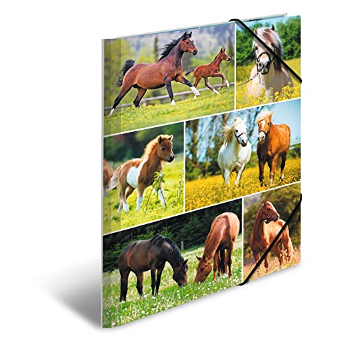 HERMA Sammelmappen A4 Pferde Set, 3 Stück, Kinder Eckspanner-Mappen aus Pappe mit Tier Motiv, Gummizug, Innenklappen und Innendruck für Jungen und Mädchen HERMA Sammelmappen A4 Pferde Set, 3 Stück, Kinder Eckspanner-Mappen aus Pappe mit Tier Motiv, Gummizug, Innenklappen und Innendruck für Jungen und Mädchen von HERMA