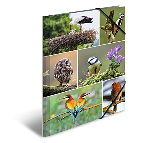 HERMA Sammelmappen A4 Vögel Set, 3 Stück, Kinder Eckspanner-Mappen aus Pappe mit Tier Motiv, Gummizug, Innenklappen und Innendruck für Jungen und Mädchen HERMA Sammelmappen A4 Vögel Set, 3 Stück, Kinder Eckspanner-Mappen aus Pappe mit Tier Motiv, Gummizug, Innenklappen und Innendruck für Jungen und Mädchen von HERMA