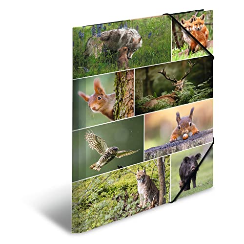 HERMA Sammelmappen A3 Waldtiere Set, 3 Stück, Kinder Eckspanner-Mappen aus Pappe mit Tier Motiv, Gummizug, Innenklappen und Innendruck für Jungen und Mädchen HERMA Sammelmappen A3 Waldtiere Set, 3 Stück, Kinder Eckspanner-Mappen aus Pappe mit Tier Motiv, Gummizug, Innenklappen und Innendruck für Jungen und Mädchen von HERMA