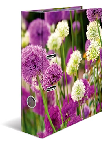 HERMA Ordner A4 Lila Blumen, 7 cm breit, Kinder Ringordner mit Pflanzen Motiv, bunter Aktenordner mit Innendruck für Jungen und Mädchen HERMA Ordner A4 Lila Blumen, 7 cm breit, Kinder Ringordner mit Pflanzen Motiv, bunter Aktenordner mit Innendruck für Jungen und Mädchen von HERMA