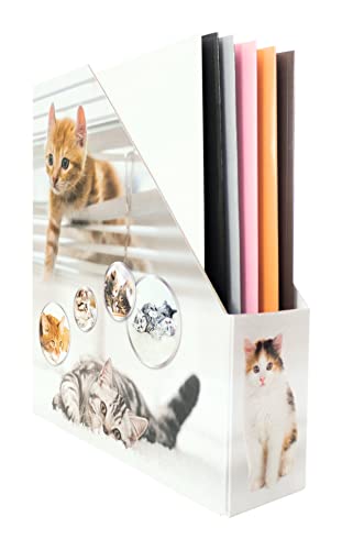 HERMA 19717 Stehsammler A4 mit Katzen Motiv, 7,5 cm breit, faltbar, stabile Pappe, schmaler Zeitschriftenhalter für Mädchen & Jungen, Stehordner zum Aufbewahren von Dokumenten, Unterlagen, Mappen HERMA 19717 Stehsammler A4 mit Katzen Motiv, 7,5 cm breit, faltbar, stabile Pappe, schmaler Zeitschriftenhalter für Mädchen & Jungen, Stehordner zum Aufbewahren von Dokumenten, Unterlagen, Mappen von HERMA