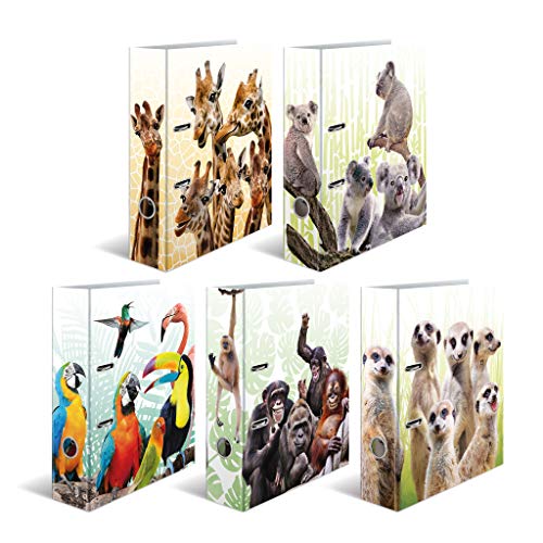 HERMA 19950 Ordner A4 Exotische Tiere Sortiment, 10 Stück, 7 cm breit, Motiv Aktenordner aus Pappe mit Innendruck für Schule & Büro, stabiles Kinder Ringordner Set aus Karton für Jungen & Mädchen HERMA 19950 Ordner A4 Exotische Tiere Sortiment, 10 Stück, 7 cm breit, Motiv Aktenordner aus Pappe mit Innendruck für Schule & Büro, stabiles Kinder Ringordner Set aus Karton für Jungen & Mädchen von HERMA