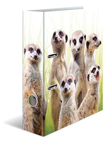 HERMA Ordner A4 Erdmännchen Set, 10 Stück, 7 cm breit, Kinder Ringordner mit Tier Motiv, bunter Aktenordner mit Innendruck für Jungen und Mädchen HERMA Ordner A4 Erdmännchen Set, 10 Stück, 7 cm breit, Kinder Ringordner mit Tier Motiv, bunter Aktenordner mit Innendruck für Jungen und Mädchen von HERMA