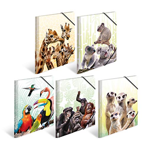 HERMA Sammelmappen A4 Tiermotive Set, 10 Stück, Kinder Eckspanner-Mappen aus Kunststoff mit Tier Motiv, Gummizug, Innenklappen und Innendruck für Jungen und Mädchen HERMA Sammelmappen A4 Tiermotive Set, 10 Stück, Kinder Eckspanner-Mappen aus Kunststoff mit Tier Motiv, Gummizug, Innenklappen und Innendruck für Jungen und Mädchen von HERMA