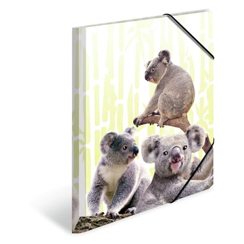 HERMA 19958 Sammelmappe A4 Exotische Tiere Koalafamilie, Kinder Eckspanner-Mappe aus Kunststoff mit Innendruck & Gummizug, stabile Einschlagmappe aus Plastik für Jungen & Mädchen von HERMA