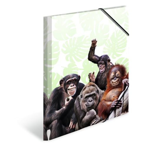 HERMA Sammelmappen A4 Affe Set, 3 Stück, Kinder Eckspanner-Mappen aus Kunststoff mit Tier Motiv, Gummizug, Innenklappen und Innendruck für Jungen und Mädchen HERMA Sammelmappen A4 Affe Set, 3 Stück, Kinder Eckspanner-Mappen aus Kunststoff mit Tier Motiv, Gummizug, Innenklappen und Innendruck für Jungen und Mädchen von HERMA