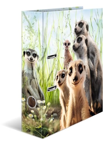 HERMA Ordner A4 Erdmännchen, 7 cm breit, Kinder Ringordner mit Tier Motiv, bunter Aktenordner mit Innendruck für Jungen und Mädchen von HERMA