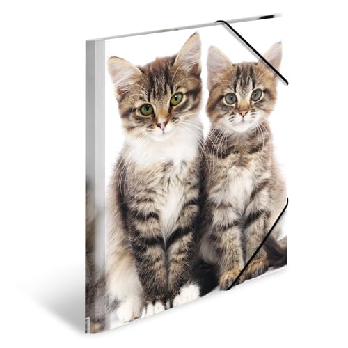 HERMA Sammelmappen A4 Katzen Set, 3 Stück, Kinder Eckspanner-Mappen aus Kunststoff mit Tier Motiv, Gummizug, Innenklappen und Innendruck für Jungen und Mädchen HERMA Sammelmappen A4 Katzen Set, 3 Stück, Kinder Eckspanner-Mappen aus Kunststoff mit Tier Motiv, Gummizug, Innenklappen und Innendruck für Jungen und Mädchen von HERMA