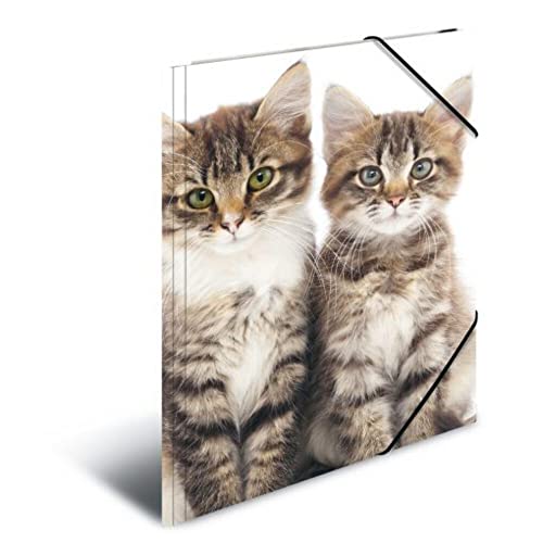 HERMA Sammelmappe A4 Katzen, Kinder Eckspanner-Mappe aus Kunststoff mit Tier Motiv, Gummizug, Innenklappen und Innendruck für Jungen und Mädchen HERMA Sammelmappe A4 Katzen, Kinder Eckspanner-Mappe aus Kunststoff mit Tier Motiv, Gummizug, Innenklappen und Innendruck für Jungen und Mädchen von HERMA