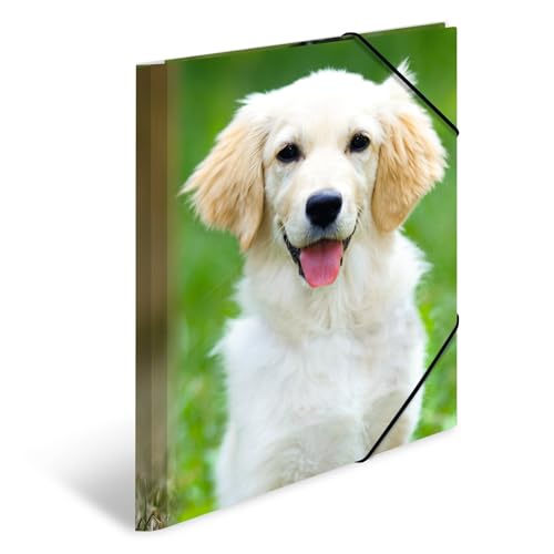 HERMA Sammelmappe A4 Hunde, Kinder Eckspanner-Mappe aus Kunststoff mit Tier Motiv, Gummizug, Innenklappen und Innendruck für Jungen und Mädchen HERMA Sammelmappe A4 Hunde, Kinder Eckspanner-Mappe aus Kunststoff mit Tier Motiv, Gummizug, Innenklappen und Innendruck für Jungen und Mädchen von HERMA