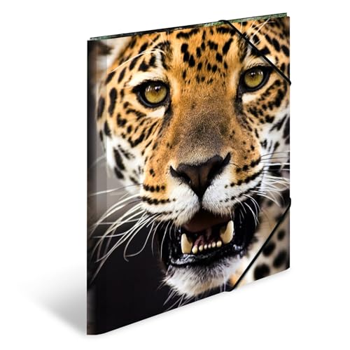 HERMA Sammelmappen A3 Leopard Set, 3 Stück, Kinder Eckspanner-Mappen aus Kunststoff mit Tier Motiv, Gummizug, Innenklappen und Innendruck für Jungen und Mädchen HERMA Sammelmappen A3 Leopard Set, 3 Stück, Kinder Eckspanner-Mappen aus Kunststoff mit Tier Motiv, Gummizug, Innenklappen und Innendruck für Jungen und Mädchen von HERMA