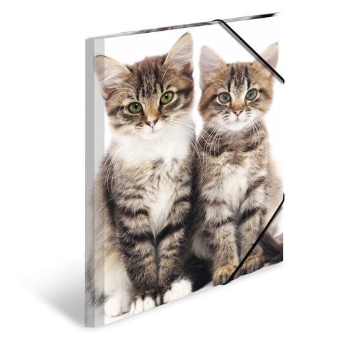 HERMA Sammelmappe A3 Katzen, Kinder Eckspanner-Mappe aus Kunststoff mit Tier Motiv, Gummizug, Innenklappen und Innendruck für Jungen und Mädchen HERMA Sammelmappe A3 Katzen, Kinder Eckspanner-Mappe aus Kunststoff mit Tier Motiv, Gummizug, Innenklappen und Innendruck für Jungen und Mädchen von HERMA