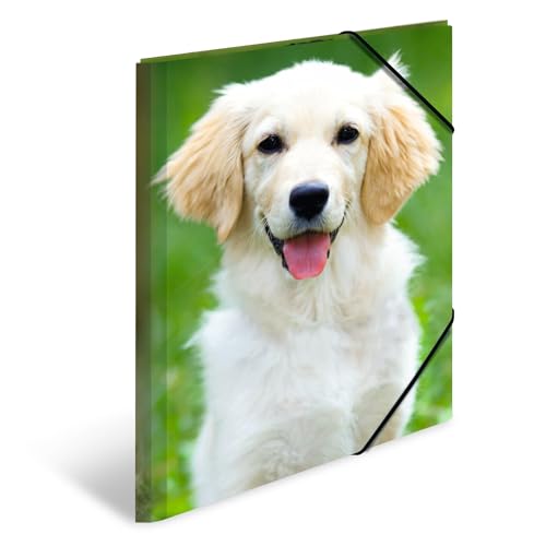 HERMA Sammelmappen A3 Hunde Set, 3 Stück, Kinder Eckspanner-Mappen aus Kunststoff mit Tier Motiv, Gummizug, Innenklappen und Innendruck für Jungen und Mädchen HERMA Sammelmappen A3 Hunde Set, 3 Stück, Kinder Eckspanner-Mappen aus Kunststoff mit Tier Motiv, Gummizug, Innenklappen und Innendruck für Jungen und Mädchen von HERMA