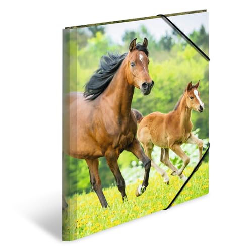 HERMA Sammelmappe A3 Pferde, Kinder Eckspanner-Mappe aus Kunststoff mit Tier Motiv, Gummizug, Innenklappen und Innendruck für Jungen und Mädchen HERMA Sammelmappe A3 Pferde, Kinder Eckspanner-Mappe aus Kunststoff mit Tier Motiv, Gummizug, Innenklappen und Innendruck für Jungen und Mädchen von HERMA
