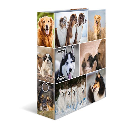 HERMA Ordner A4 Hunde Set, 10 Stück, 7 cm breit, Kinder Ringordner mit Tier Motiv, bunter Aktenordner mit Innendruck für Jungen und Mädchen HERMA Ordner A4 Hunde Set, 10 Stück, 7 cm breit, Kinder Ringordner mit Tier Motiv, bunter Aktenordner mit Innendruck für Jungen und Mädchen von HERMA