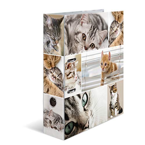 HERMA Ordner A4 Katzen Set, 10 Stück, 7 cm breit, Kinder Ringordner mit Tier Motiv, bunter Aktenordner mit Innendruck für Jungen und Mädchen HERMA Ordner A4 Katzen Set, 10 Stück, 7 cm breit, Kinder Ringordner mit Tier Motiv, bunter Aktenordner mit Innendruck für Jungen und Mädchen von HERMA
