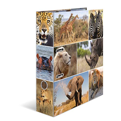 HERMA Ordner A4 Löwe Set, 10 Stück, 7 cm breit, Kinder Ringordner mit Afrika Tier Motiv, bunter Aktenordner mit Innendruck für Jungen und Mädchen HERMA Ordner A4 Löwe Set, 10 Stück, 7 cm breit, Kinder Ringordner mit Afrika Tier Motiv, bunter Aktenordner mit Innendruck für Jungen und Mädchen von HERMA