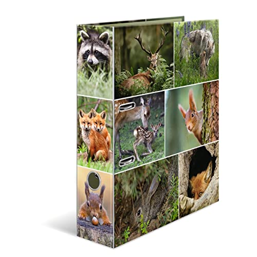 HERMA Ordner A4 Waldtiere Set, 10 Stück, 7 cm breit, Kinder Ringordner mit Tier Motiv, bunter Aktenordner mit Innendruck für Jungen und Mädchen HERMA Ordner A4 Waldtiere Set, 10 Stück, 7 cm breit, Kinder Ringordner mit Tier Motiv, bunter Aktenordner mit Innendruck für Jungen und Mädchen von HERMA