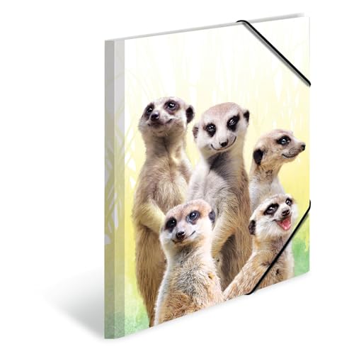 HERMA Sammelmappe A3 Erdmännchen, Kinder Eckspanner-Mappe aus Kunststoff mit Tier Motiv, Gummizug, Innenklappen und Innendruck für Jungen und Mädchen HERMA Sammelmappe A3 Erdmännchen, Kinder Eckspanner-Mappe aus Kunststoff mit Tier Motiv, Gummizug, Innenklappen und Innendruck für Jungen und Mädchen von HERMA