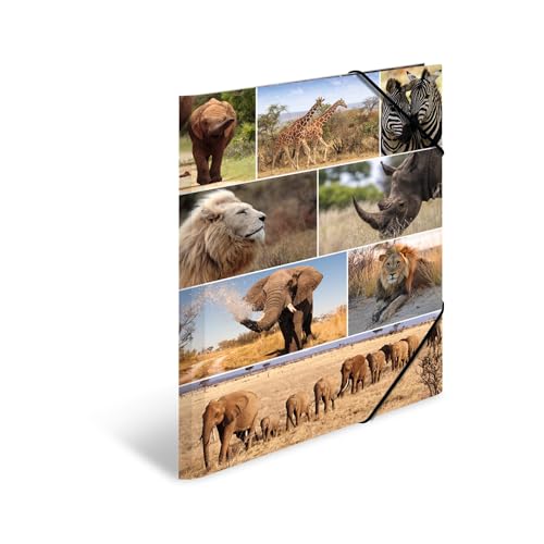 HERMA Sammelmappe A3 Löwe, Kinder Eckspanner-Mappe aus Pappe mit Afrika Tier Motiv, Gummizug, Innenklappen und Innendruck für Jungen und Mädchen HERMA Sammelmappe A3 Löwe, Kinder Eckspanner-Mappe aus Pappe mit Afrika Tier Motiv, Gummizug, Innenklappen und Innendruck für Jungen und Mädchen von HERMA