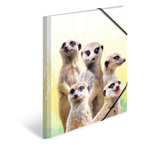 HERMA Sammelmappe A4 Erdmännchen, Kinder Eckspanner-Mappe aus Kunststoff mit Tier Motiv, Gummizug, Innenklappen und Innendruck für Jungen und Mädchen HERMA Sammelmappe A4 Erdmännchen, Kinder Eckspanner-Mappe aus Kunststoff mit Tier Motiv, Gummizug, Innenklappen und Innendruck für Jungen und Mädchen von HERMA