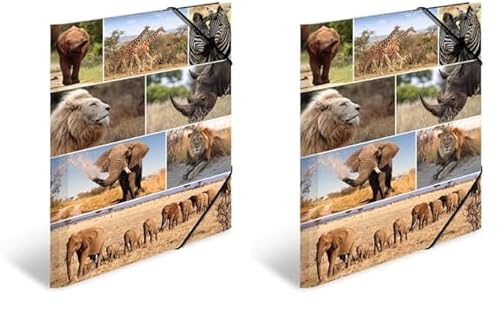 HERMA Sammelmappen A3 Löwe Set, 3 Stück, Kinder Eckspanner-Mappen aus Pappe mit Afrika Tier Motiv, Gummizug, Innenklappen und Innendruck für Jungen und Mädchen (Packung mit 2) von HERMA