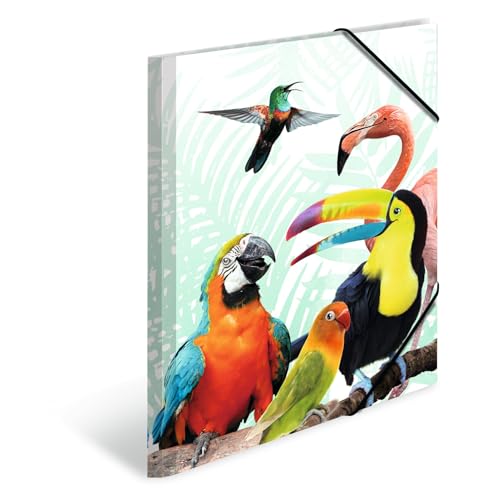 HERMA Sammelmappen A3 Papagei Set, 3 Stück, Kinder Eckspanner-Mappen aus Kunststoff mit Tier Motiv, Gummizug, Innenklappen und Innendruck für Jungen und Mädchen HERMA Sammelmappen A3 Papagei Set, 3 Stück, Kinder Eckspanner-Mappen aus Kunststoff mit Tier Motiv, Gummizug, Innenklappen und Innendruck für Jungen und Mädchen von HERMA