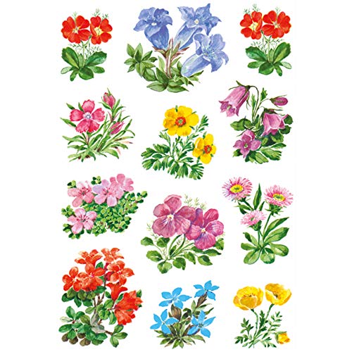HERMA Sticker DECOR ´Gebirgsblumen´, Sie erhalten 1 Stück á 3 Blatt HERMA Sticker DECOR ´Gebirgsblumen´, Sie erhalten 1 Stück á 3 Blatt von HERMA