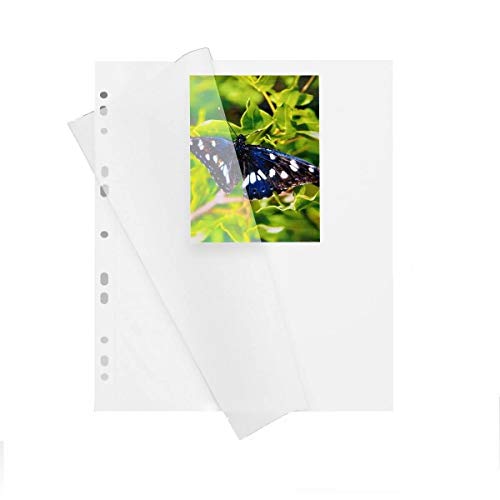 Herma 7569 Fotokarton Fotoblätter 100 Blatt Weiß Mit Pergamin 230x297mm von HERMA