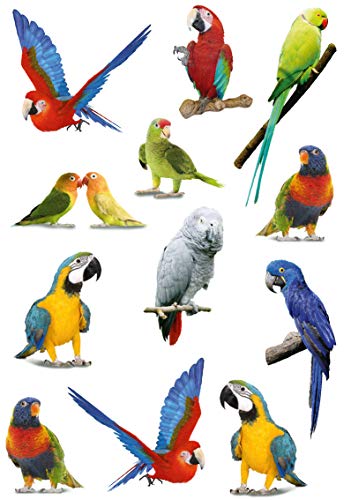 Schmucketikett Papageien Puffy von HERMA