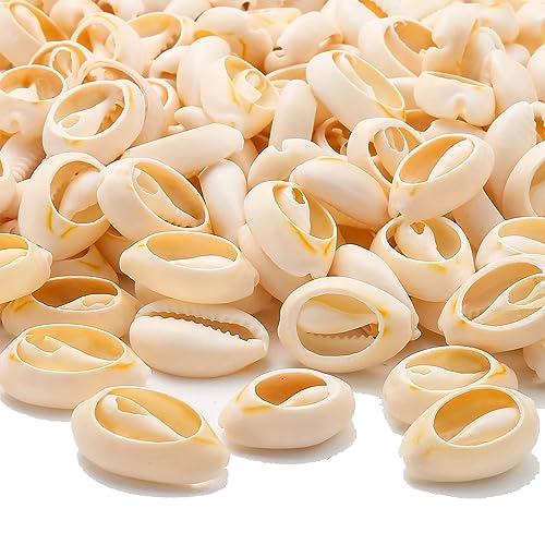 HERZWILD 180pcs Muschel Perlen mit Loch zum Auffädeln Natürlichen Muscheln zum Basteln Spirale Kauri Muscheln Bastelnmuscheln (16-19mm) von HERZWILD