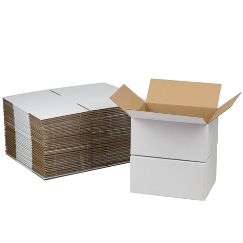 HESESOH Versandkartons, 20,3 x 15,2 x 10,2 cm, Weiß, Wellpappe, Literatur-Versandtaschen zum Verpacken von Kleinunternehmen, 40 Stück HESESOH Versandkartons, 20,3 x 15,2 x 10,2 cm, Weiß, Wellpappe, Literatur-Versandtaschen zum Verpacken von Kleinunternehmen, 40 Stück von HESESOH