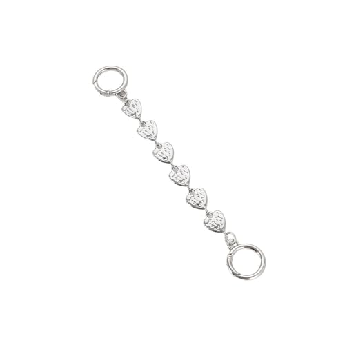 HESHUWEN Taschenkette Kettenriemen Ersatz-Geldbörsenkettenriemen mit Metallschnallen for Damentaschen Kette FüR Tasche(Silver) von HESHUWEN