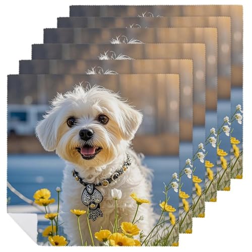 Stoffservietten, langlebig, weich, saugfähig, Tischservietten, Set mit 6 Stück, Malteser-Hund, Küche, Platzsets, wiederverwendbar, waschbar, Servietten für Partys, Restaurant, Hochzeit, Hotel Stoffservietten, langlebig, weich, saugfähig, Tischservietten, Set mit 6 Stück, Malteser-Hund, Küche, Platzsets, wiederverwendbar, waschbar, Servietten für Partys, Restaurant, Hochzeit, Hotel von HETVBNS