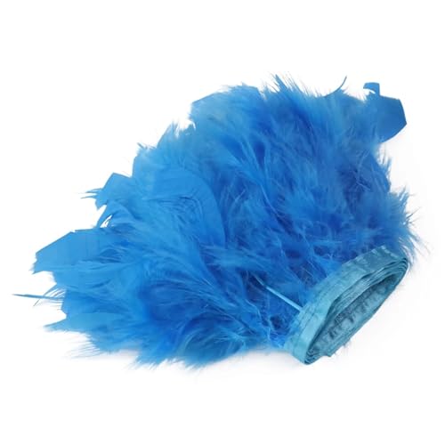 HEUchuan 1/5/10 Meter Bunte Federn, Fransen, Bastelband, 10–15 cm, for Kleidung, Nähen, Hochzeitskleid, Dekoration, Band, Federn für DIY Nähen Handwerk Dekoration(Light Blue,10M) von HEUchuan