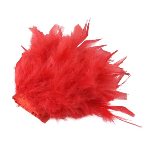 HEUchuan 1/5/10 Meter Bunte Federn, Fransen, Bastelband, 10–15 cm, for Kleidung, Nähen, Hochzeitskleid, Dekoration, Band, Federn für DIY Nähen Handwerk Dekoration(Red,10M) von HEUchuan