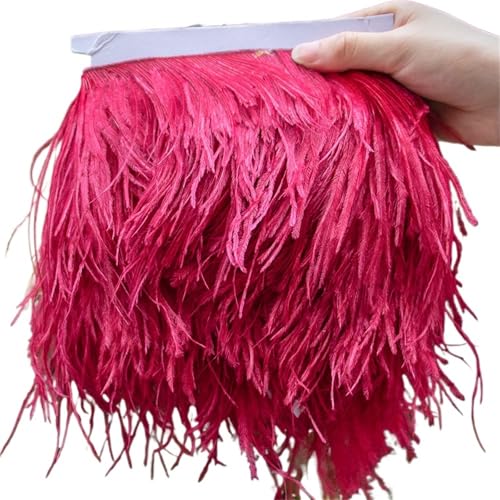 HEUchuan 1 Meter Straußenfederbesatz 10–15/15–18/18–22 cm Federn-Fransenband for Zuhause, Party, Kleid, Nähen, Hochzeitsdekoration für DIY Nähen Handwerk Dekoration(Dark Gray,10-15 cm 4-6 inches) von HEUchuan