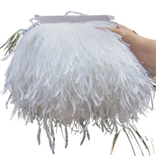 HEUchuan 1 Meter Straußenfederbesatz 10–15/15–18/18–22 cm Federn-Fransenband for Zuhause, Party, Kleid, Nähen, Hochzeitsdekoration für DIY Nähen Handwerk Dekoration(Gray,15-18 cm 6-7 inches) von HEUchuan