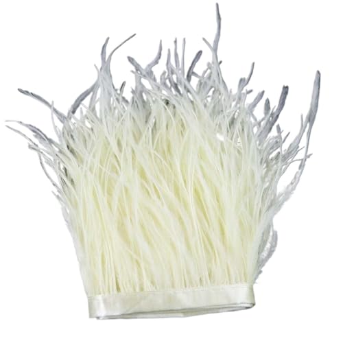 HEUchuan 1 m, 6–22 cm, Straußenfedern, Besatz for Hochzeitskleid, Kleidung, Accessoires, Party-Dekoration, Pflaumenfransen für DIY Nähen Handwerk Dekoration(Beige,15-18 cm) von HEUchuan