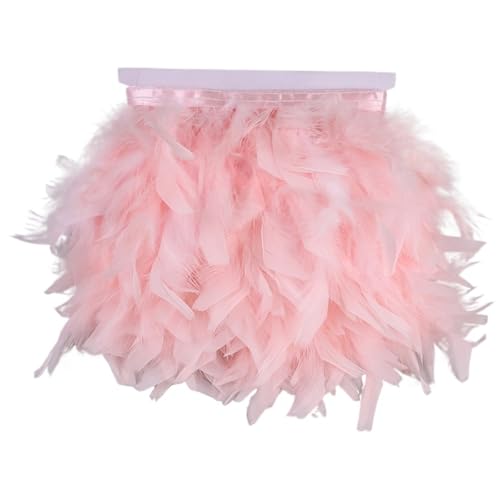 HEUchuan 10 Meter Federbesatz mit Fransen, 10–15 cm, Federband, Kunsthandwerk, Kleidung, Kleid, Nähen, Federn, Dekoration für DIY Nähen Handwerk Dekoration(Pink1) von HEUchuan