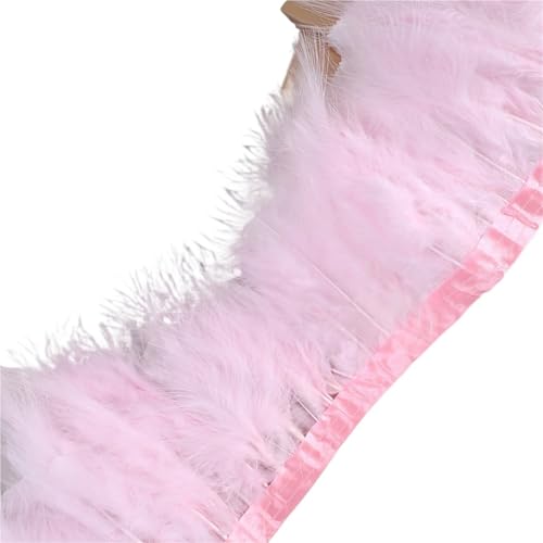 HEUchuan 10 Meter Federbesatzband, Federfransen for Hochzeitskleid, Dekor, Nähzubehör für DIY Nähen Handwerk Dekoration(Light pink) von HEUchuan