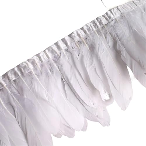 HEUchuan 10 Meter Federfransenband, Bastelzubehör, weiße Federn, Borten, Karnevalskleid, Dekoration für DIY Nähen Handwerk Dekoration(1) von HEUchuan
